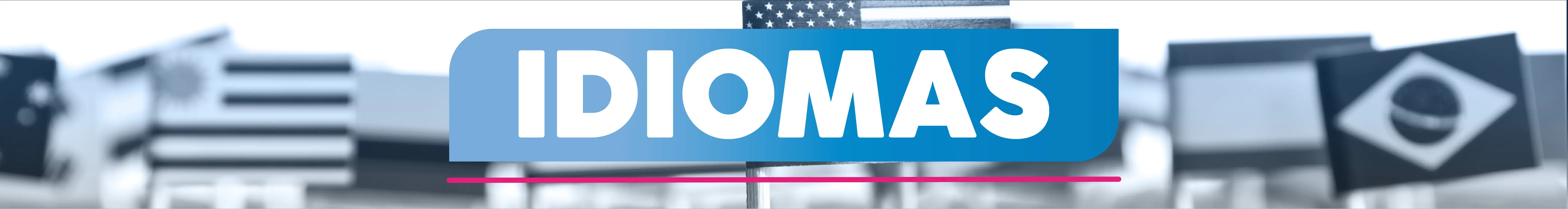 Mini banner idiomas